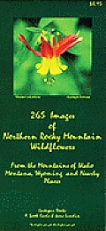 265 Images of Northern Rocky Mountains Wildflowers: From the Mountains of Idaho, Montana, Wyoming and Nearby Places