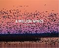 A Million Wings: A Spirited Story of the Sporting Life Along the Mississippi Flyway