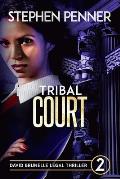 Tribal Court: David Brunelle Legal Thriller #2