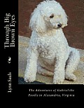 Through Big Brown Eyes: The adventures of Gabriel the poodle in Alexandria, Virginia