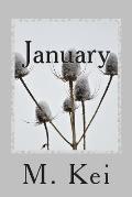 January: A Tanka Diary