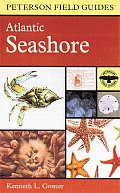 Field Guide to the Atlantic Seashore From the Bay of Fundy to Cape Hatteras