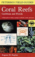 Field Guide to Coral Reefs Caribbean & Florida