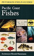Field Guide to Pacific Coast Fishes North America