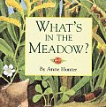Whats In The Meadow