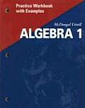 Practice Workbook with Examples McDougal Littell Algebra 1 Applications Equations & Graphs 2001 Edition