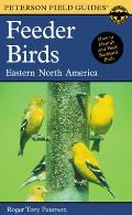 Field Guide to Feeder Birds Eastern & Central North America