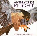 Animals In Flight