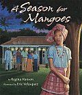 Season For Mangoes Jamaica
