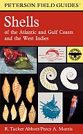 Field Guide to Shells Atlantic & Gulf Coasts & the West Indies 4th Edition