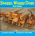 Shaggy Waggy Dogs & Others