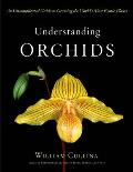 Understanding Orchids An Uncomplicated Guide to Growing the Worlds Most Exotic Plants