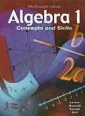 Algebra 1 Concepts & Skills