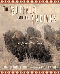 Buffalo & The Indians A Shared Destiny