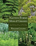 Native Ferns Moss & Grasses From Emerald Carpet to Amber Wave Serene & Sensuous Plants for the Garden