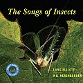 Songs Of Insects