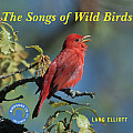 Songs Of Wild Birds
