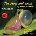 Frogs & Toads of North America A Comprehensive Guide to Their Identification Behavior & Calls