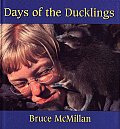 Days Of The Ducklings