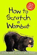 How to Scratch a Wombat Where to Find It What to Feed It Why It Sleeps All Day