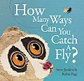 How Many Ways Can You Catch A Fly