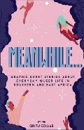 Meanwhile...: Graphic Short Stories about everyday Queer life in Southern and Eastern Africa