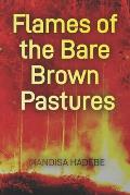 Flames of the Bare Brown Pastures