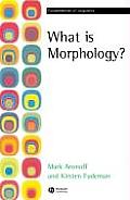 What Is Morphology