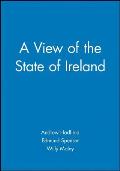 A View of the State of Ireland: The Production and Experience of Consumption