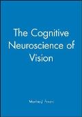 The Cognitive Neuroscience of Vision