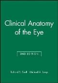 Clinical Anatomy Of The Eye