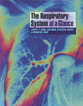 Respiratory System At A Glance