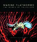 Marine Flatworms The World of Polyclads