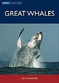 Great Whales