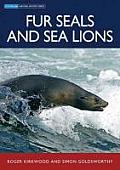 Fur Seals & Sea Lions