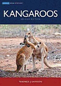 Kangaroos