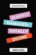 Slightly Damaged; Totally Divine: A Book of Poems