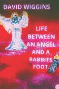Life Between an Angel and a Rabbits Foot