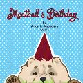 Meatball's Birthday