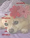 The Adventures of Fifi the Chihuahua