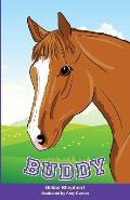 Buddy: the Special Chestnut Horse