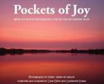 Pockets of Joy: When it's hard to find happiness, look for the tiny pockets of joy
