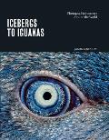 Icebergs to Iguanas