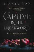 Captive in the Underworld a Dark Lesbian Romance Novel