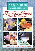 Reef Fishes Corals & Invertebrates of the Caribbean