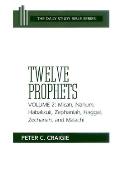 Twelve Prophets, Volume 2: Micah, Nahum, Habakkuk, Zephaniah, Haggai, Zechariah, and Malachi