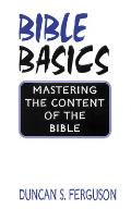 Bible Basics: Mastering the Content of the Bible