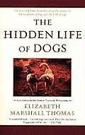 Hidden Life Of Dogs