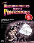Absolute Beginners Guide To Programming 1st Edition