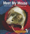 Meet My Mouse